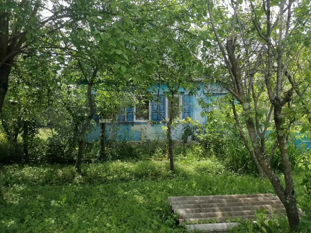 Дом 43 м на участке 6 сот. - Фото 0