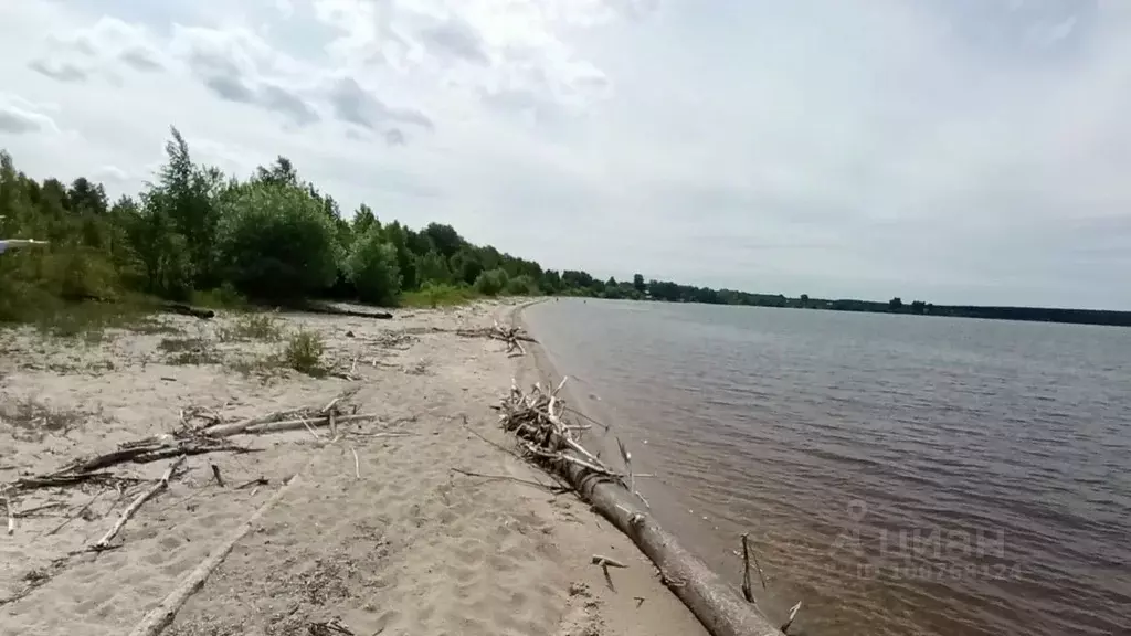 Участок в Нижегородская область, Сокольский городской округ, д. ... - Фото 1