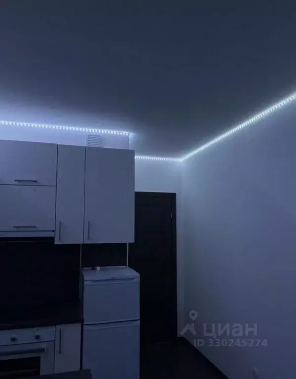 Студия Санкт-Петербург ул. Бориса Шмелева, 7 (24.0 м) - Фото 1