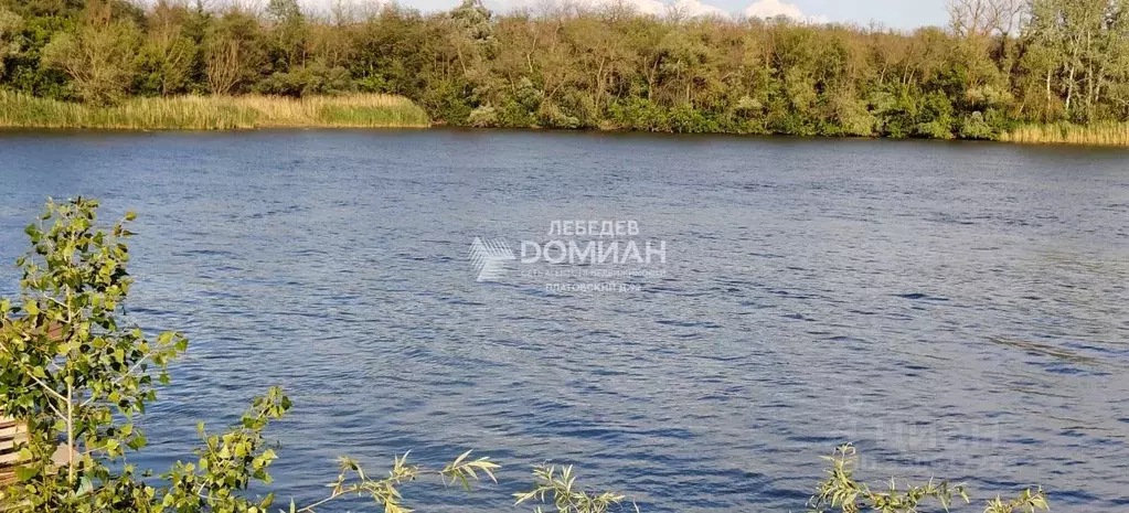 Участок в Ростовская область, Октябрьский район, Бессергеневское ... - Фото 1