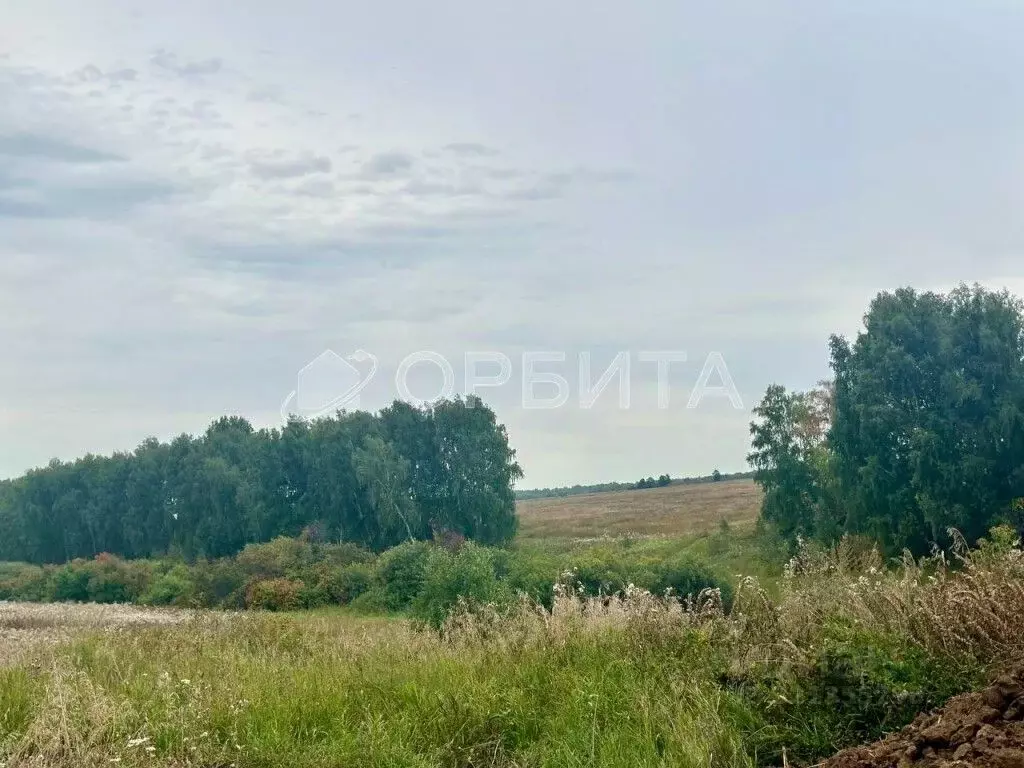 Участок в Тюменская область, Тюменский район, Новокаменский кп ул. ... - Фото 1