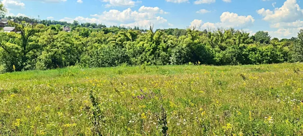 участок в курская область, курск ул. генерала тупикова (10.0 сот.) - Фото 0