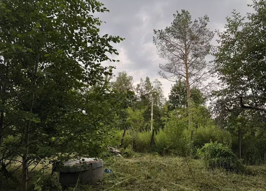 Участок в Ленинградская область, Кировский район, Мгинское городское ... - Фото 1