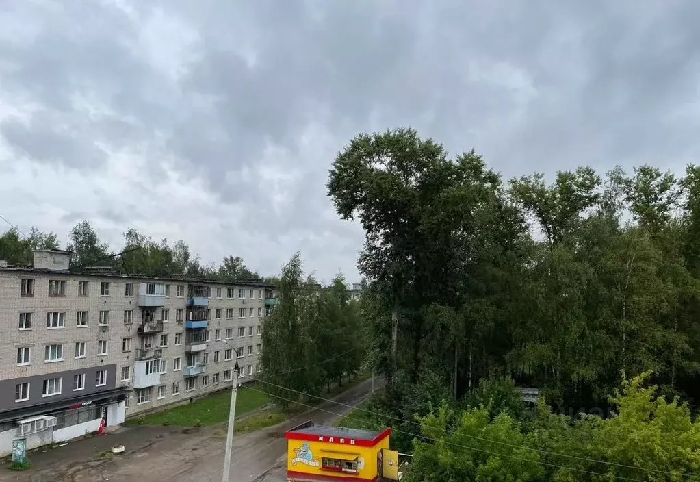 2-к кв. Ярославская область, Тутаевский муниципальный округ, ... - Фото 2