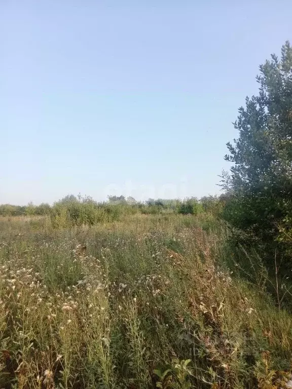 Участок в Мордовия, с. Лямбирь  (15.0 сот.) - Фото 0