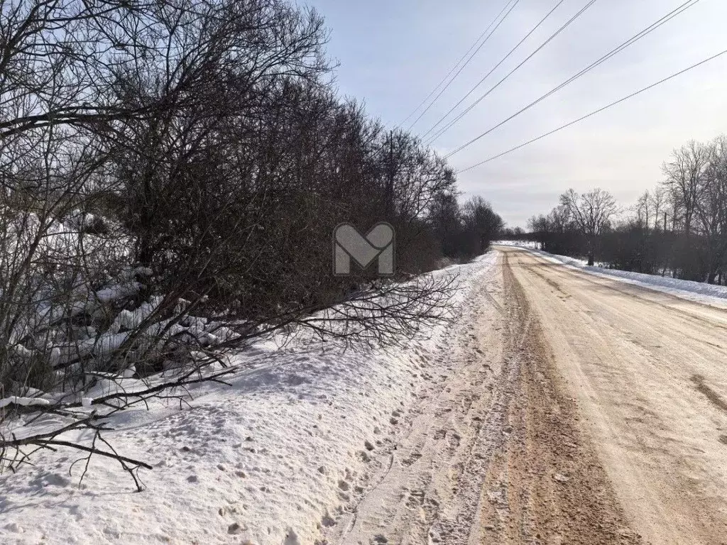 Участок в Ленинградская область, Лужский район, пос. Серебрянский ул. ... - Фото 2