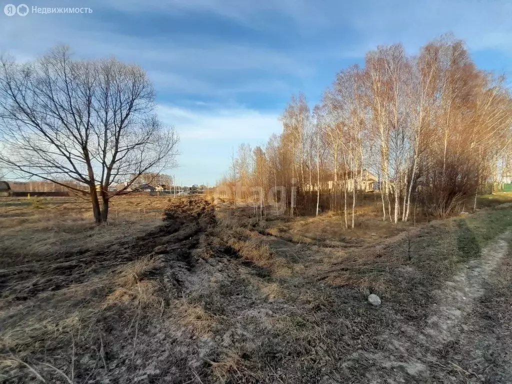 Участок в Ковровский район, муниципальное образование Малыгинское, ... - Фото 0