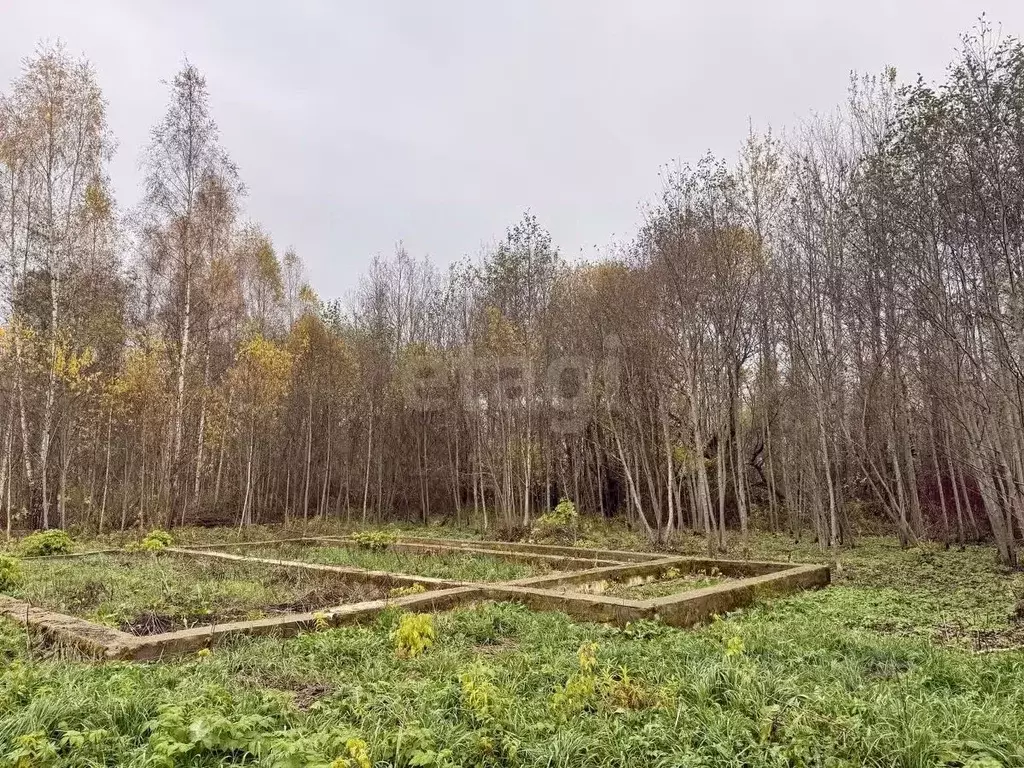 Участок в Смоленская область, Смоленск Подснежники садоводческое ... - Фото 2