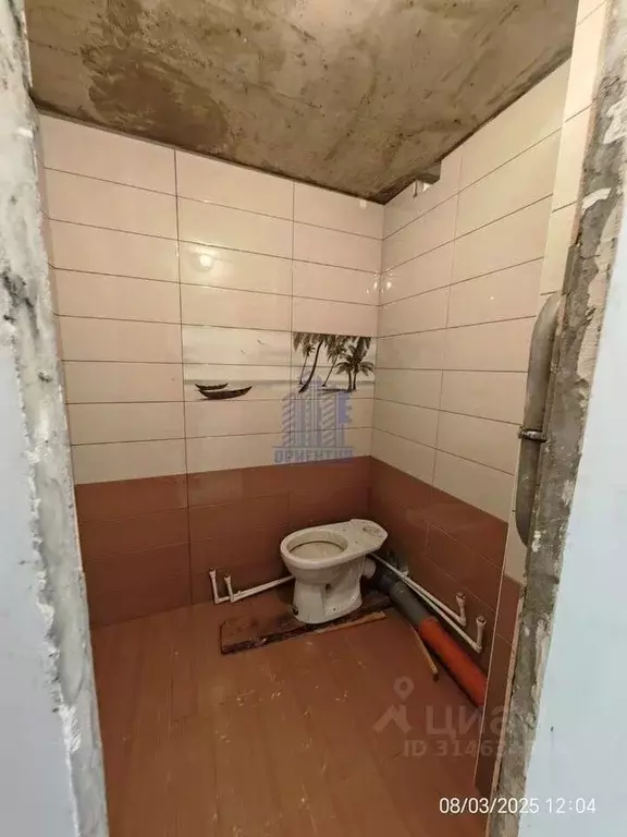 1-к кв. Чувашия, Чебоксары ул. Академика В.Н.Челомея, 5 (33.1 м) - Фото 0