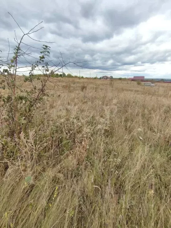 Участок в Воронежская область, Рамонский район, Новоживотинновское ... - Фото 2