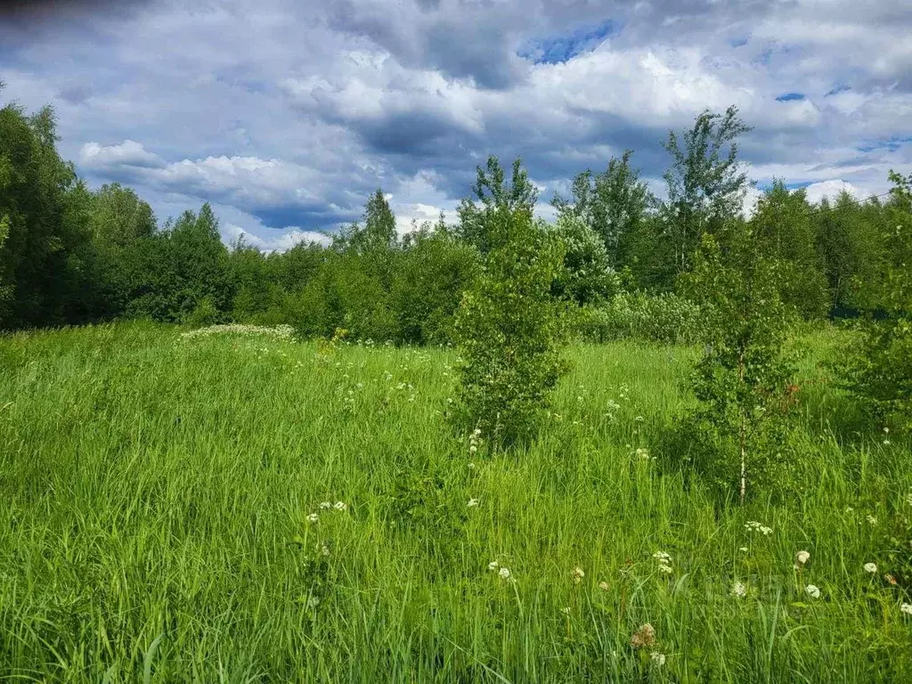 Участок в Нижегородская область, Богородский муниципальный округ, с. ... - Фото 0