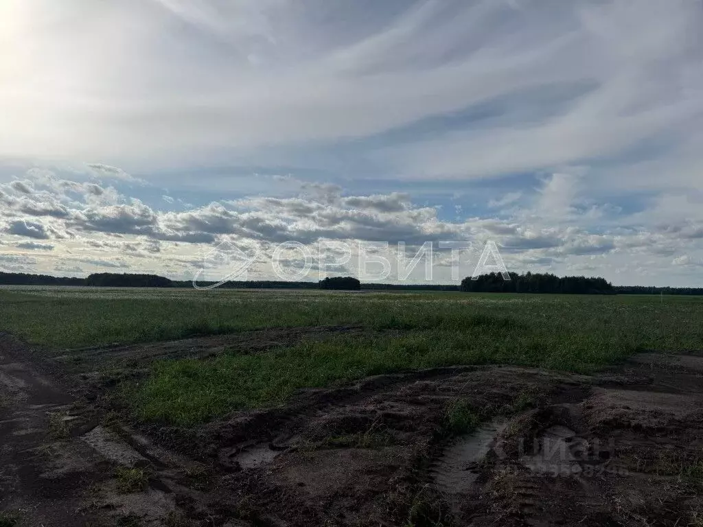 Участок в Тюменская область, Тюменский муниципальный округ, ... - Фото 2