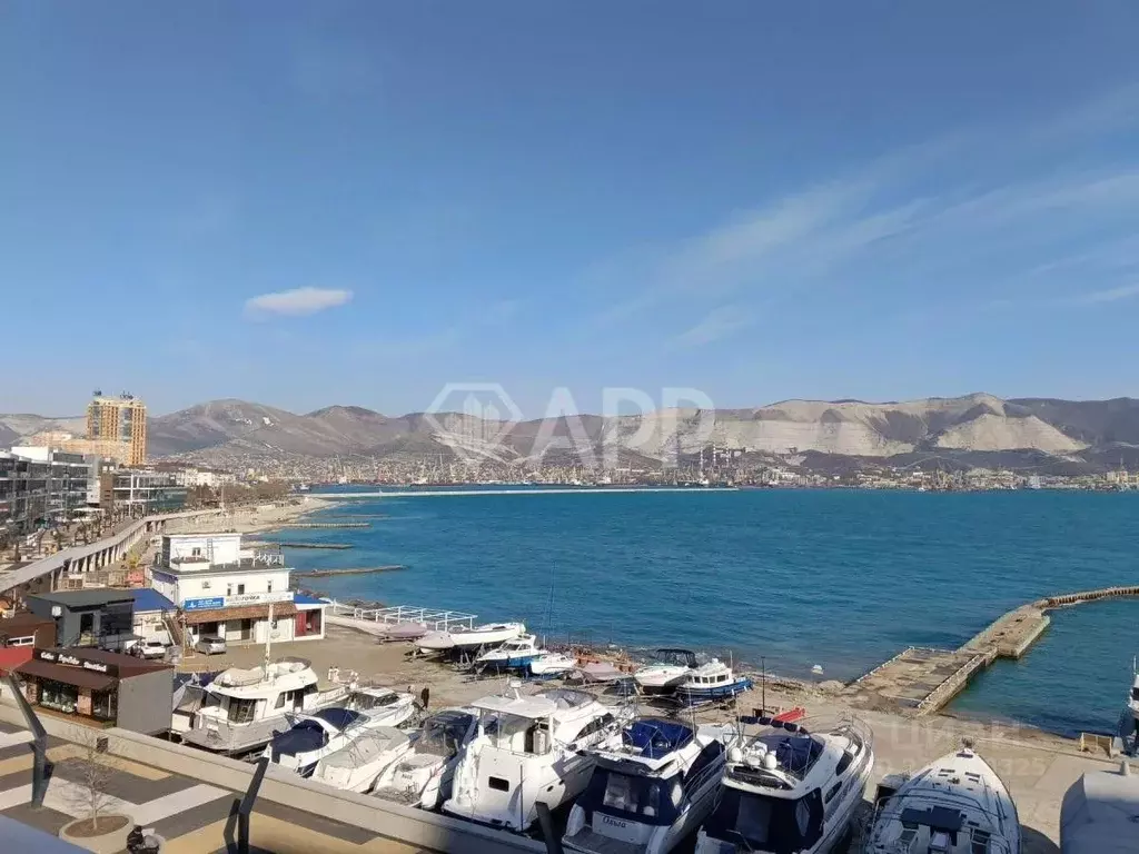 Помещение свободного назначения в Краснодарский край, Новороссийск ... - Фото 1