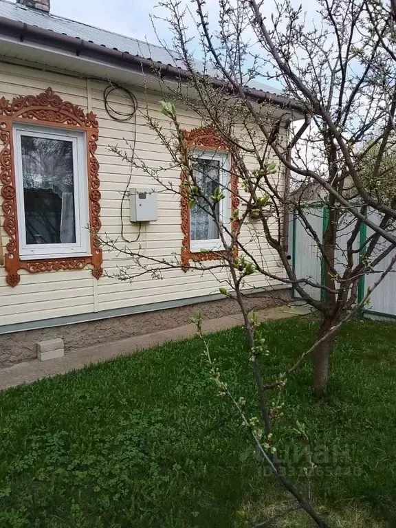 Дом в Ярославская область, Борисоглебский рп ул. Троица-Бор, 1 (33 м) - Фото 2