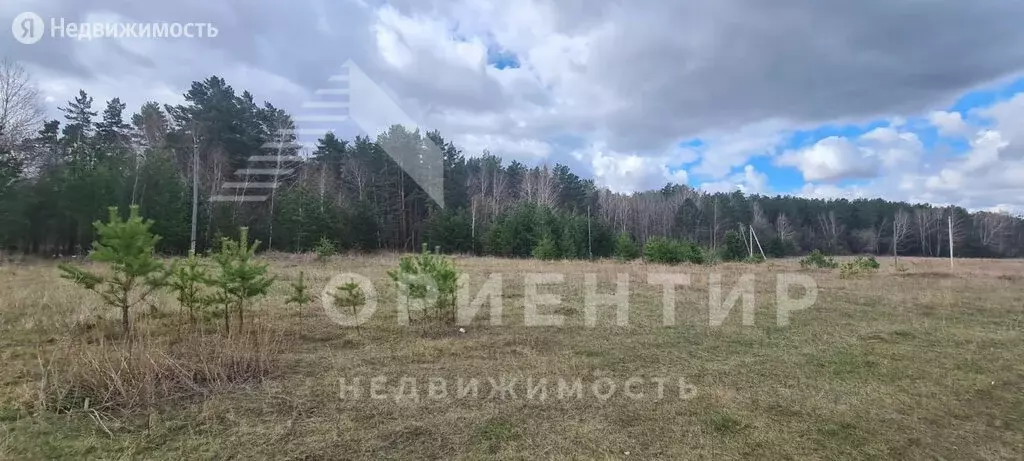 Купить Землю Сельхозназначения В Свердловской Области