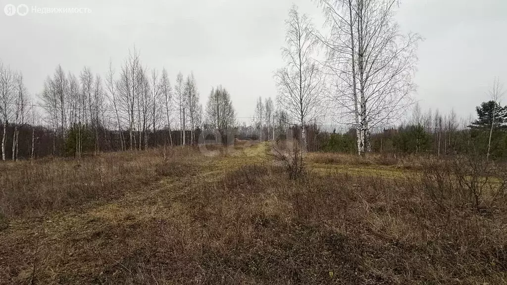 Участок в Кокшайское сельское поселение, территория СНТ Ермак (10 м) - Фото 1