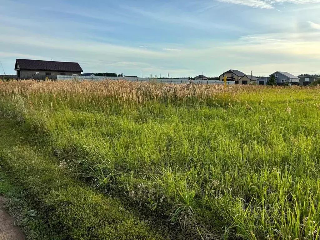 Участок в Татарстан, Нижнекамский район, Каенлинское с/пос, с. Борок ... - Фото 2