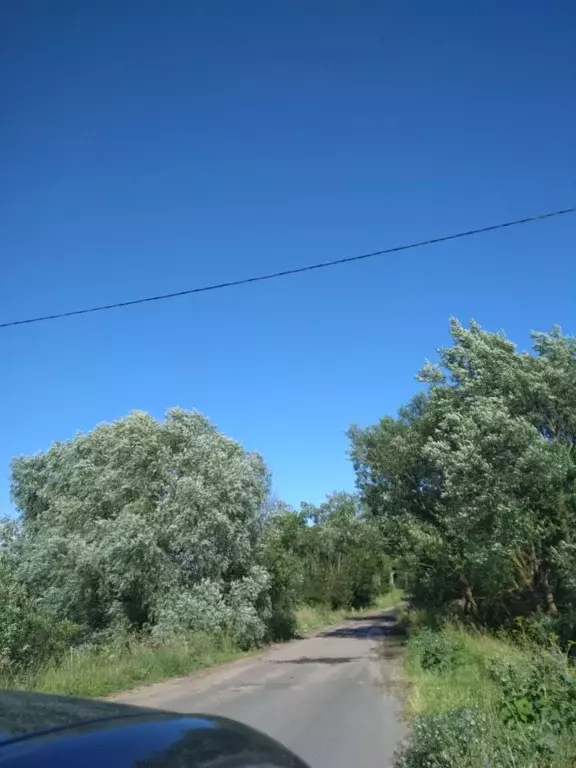 Участок в Новгородская область, Шимский район, д. Старый Шимск  (15.0 ... - Фото 1