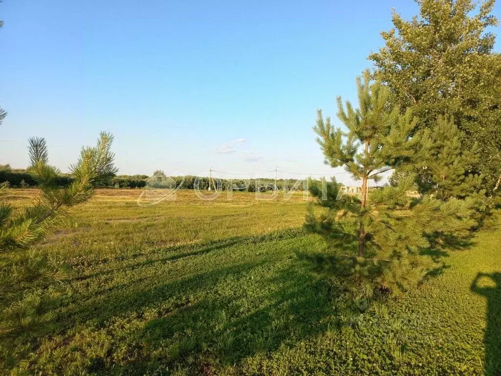 Участок в Тюменская область, Тюменский район Салаирский тракт, 14-й км ... - Фото 1