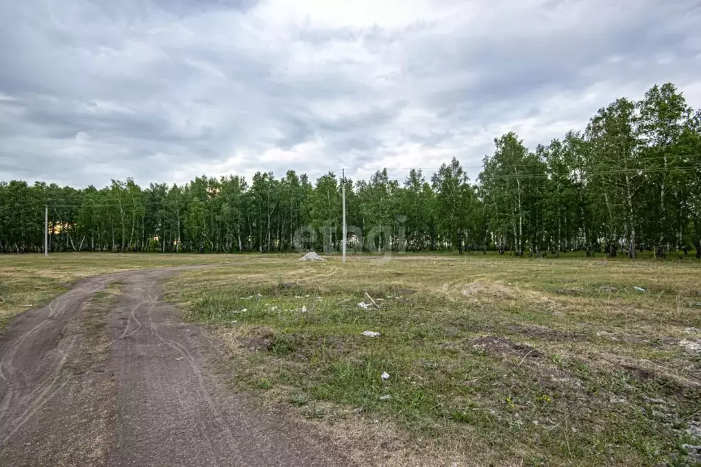 Участок в Новосибирская область, Новосибирский район, Криводановский ... - Фото 1