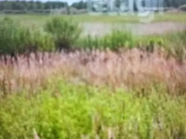 Участок в Ульяновская область, Ульяновск городской округ, с. Луговое ... - Фото 0