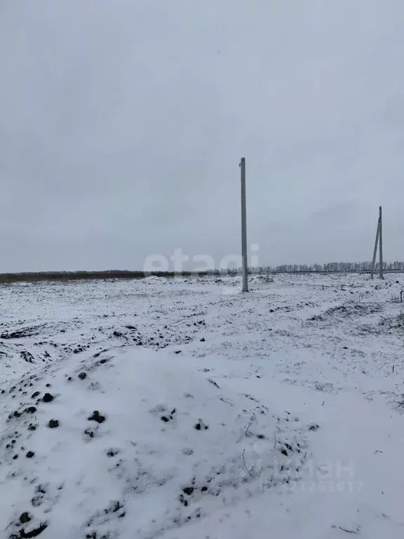 Участок в Белгородская область, Белгородский район, Головинское с/пос, ... - Фото 1