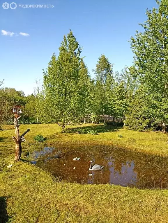 Дом в Новгородская область, Демянский муниципальный округ, село ... - Фото 0