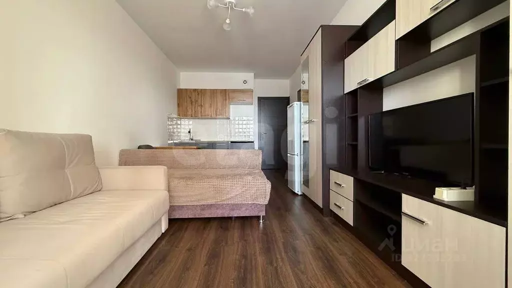 Студия Санкт-Петербург просп. Ветеранов, 175к4 (24.7 м) - Фото 1