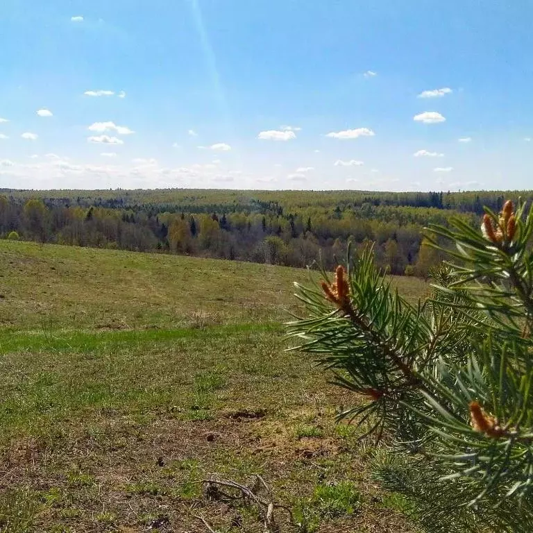 Дом в Ярославская область, Переславль-Залесский пл. Народная (500 м) - Фото 0