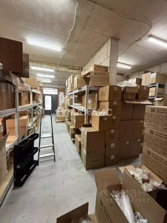 Помещение свободного назначения в Санкт-Петербург пос. Шушары, ... - Фото 2