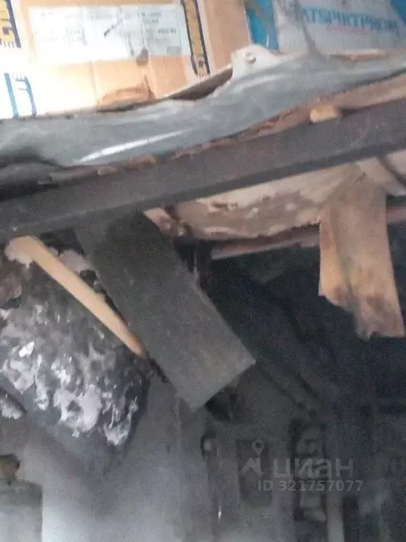 Помещение свободного назначения в Чувашия, Козловка ул. Свободной ... - Фото 1