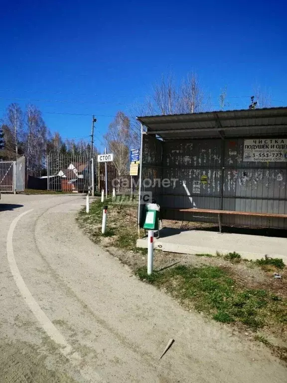 Участок в Новосибирская область, Новосибирский район, Новолуговской ... - Фото 2