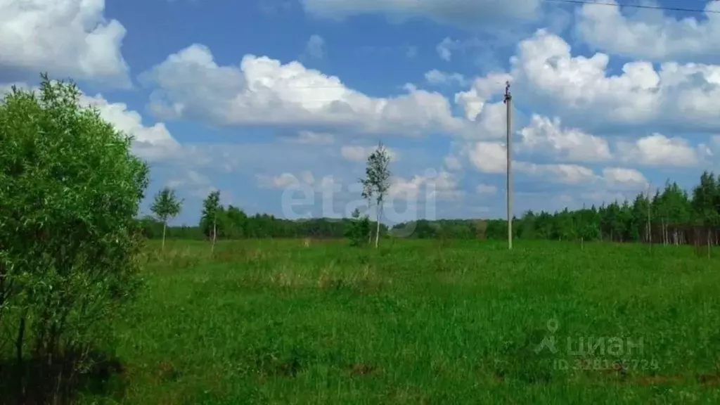 Участок в Калужская область, Тарусский муниципальный округ, Некрасово ... - Фото 2