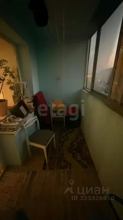 1-к кв. Амурская область, Благовещенский район, с. Чигири ул. ... - Фото 2