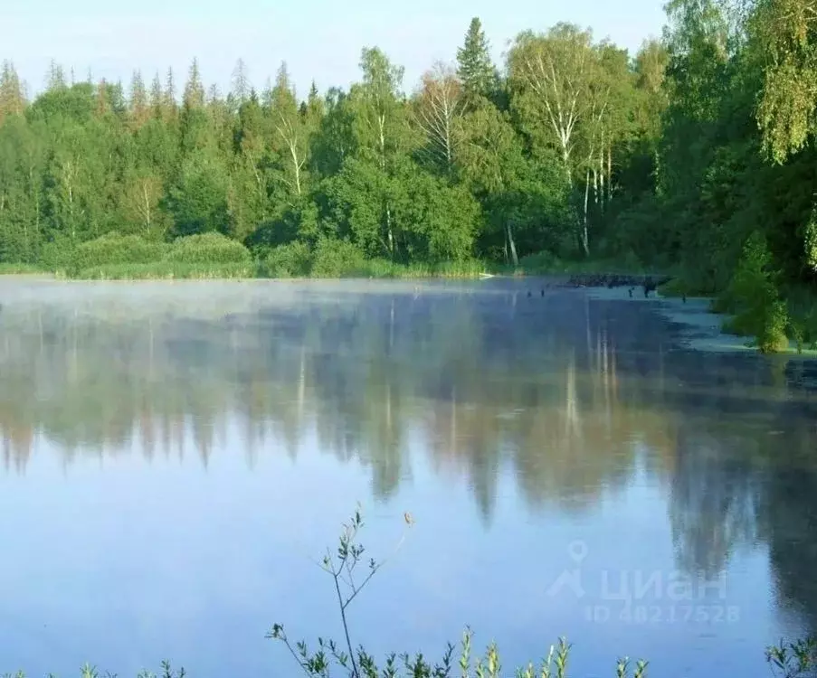 Участок в Московская область, Щелково городской округ, д. Каблуково  ... - Фото 0