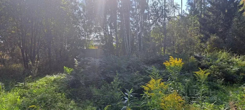 Участок в Московская область, Щелково городской округ, д. Аксиньино  ... - Фото 0