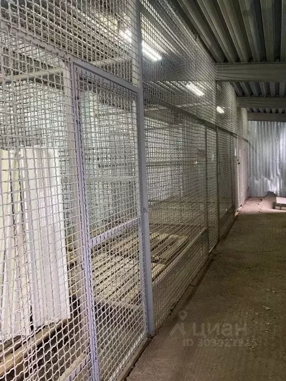 Склад в Татарстан, Набережные Челны ул. Сергея Титова, 36А (50 м) - Фото 2