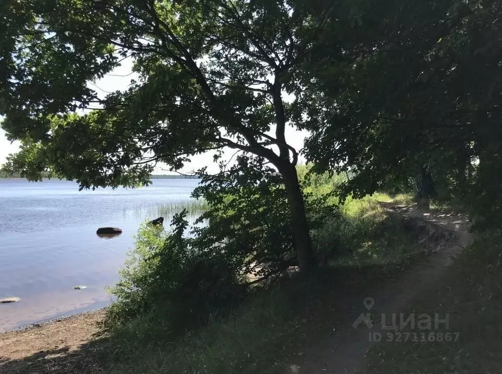 Участок в Ленинградская область, Гатчинский муниципальный округ, с. ... - Фото 2