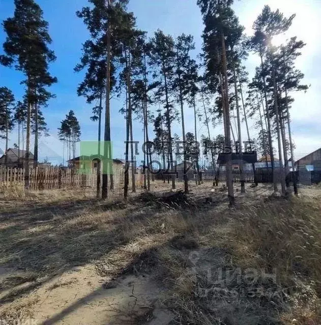 Участок в Бурятия, Улан-Удэ Академический ДНТ, ул. Творческая (8.0 ... - Фото 1