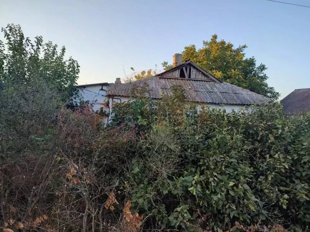 Дом в Крым, Сакский район, с. Митяево ул. Новая (54 м) - Фото 1