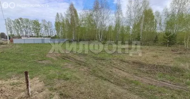 Участок в Искитимский район, Мичуринский сельсовет, дачное ... - Фото 1