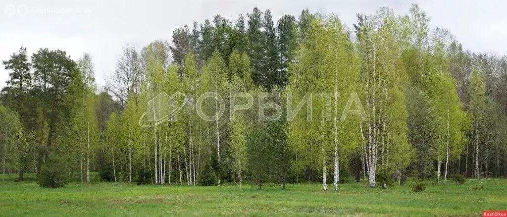 Участок в СНТ Березняки (220 м) - Фото 2