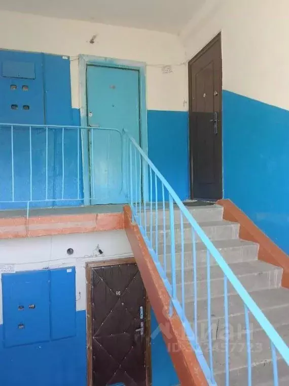 1-к кв. Саратовская область, Красноармейск 5-й мкр, 7 (29.9 м) - Фото 2