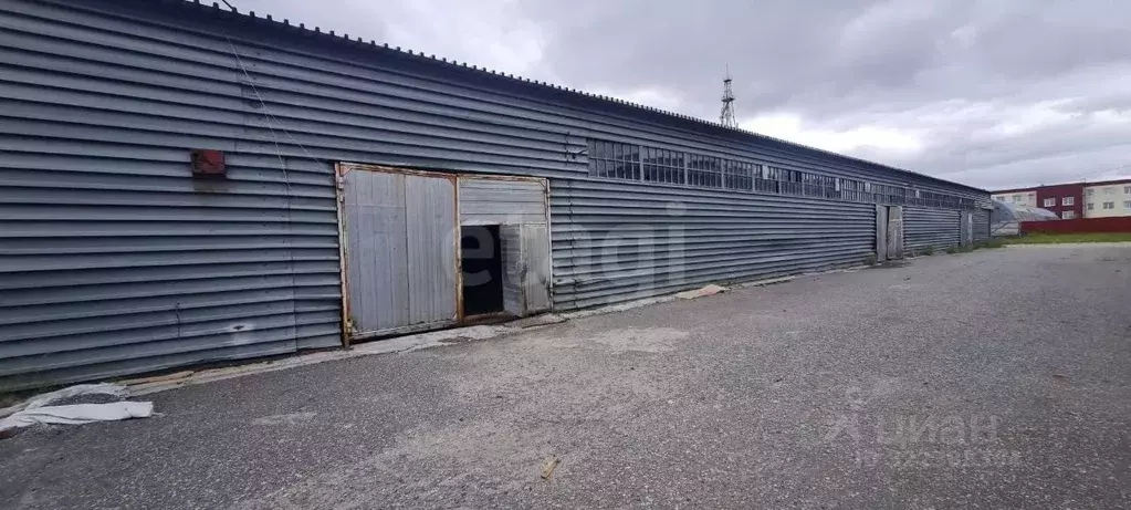 Склад в Ямало-Ненецкий АО, Новый Уренгой 2-й мкр, ул. ... - Фото 2