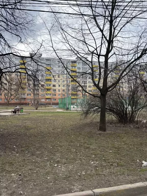 2-к кв. Московская область, Ногинск Богородский городской округ, ул. ... - Фото 2