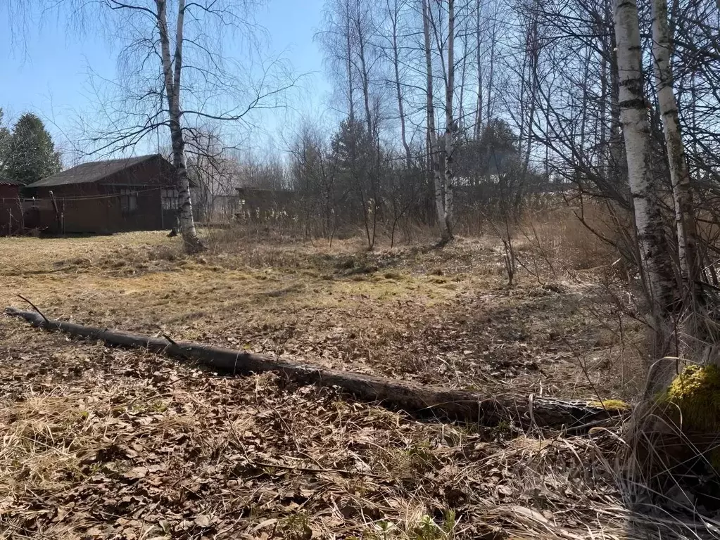 Участок в Московская область, Серпухов городской округ, Персей СНТ  ... - Фото 0