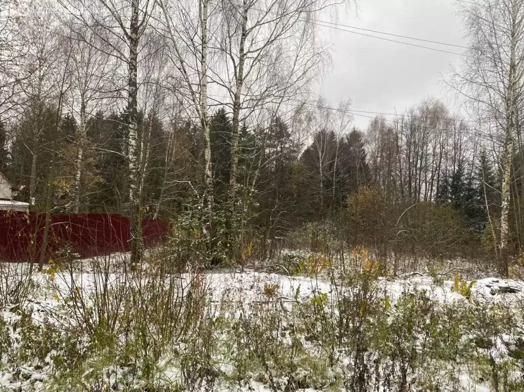 Участок в сельское поселение Кривское, деревня Заречье, садоводческое ... - Фото 0