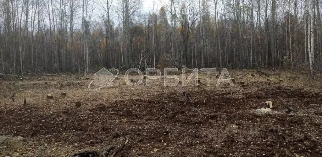 Участок в Тюменская область, Нижнетавдинский район, Душевное садовое ... - Фото 0