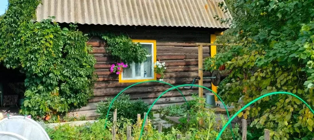 Дом в Омская область, Омск СОСН Шинник-3 тер., аллея 1-я (40 м) - Фото 2