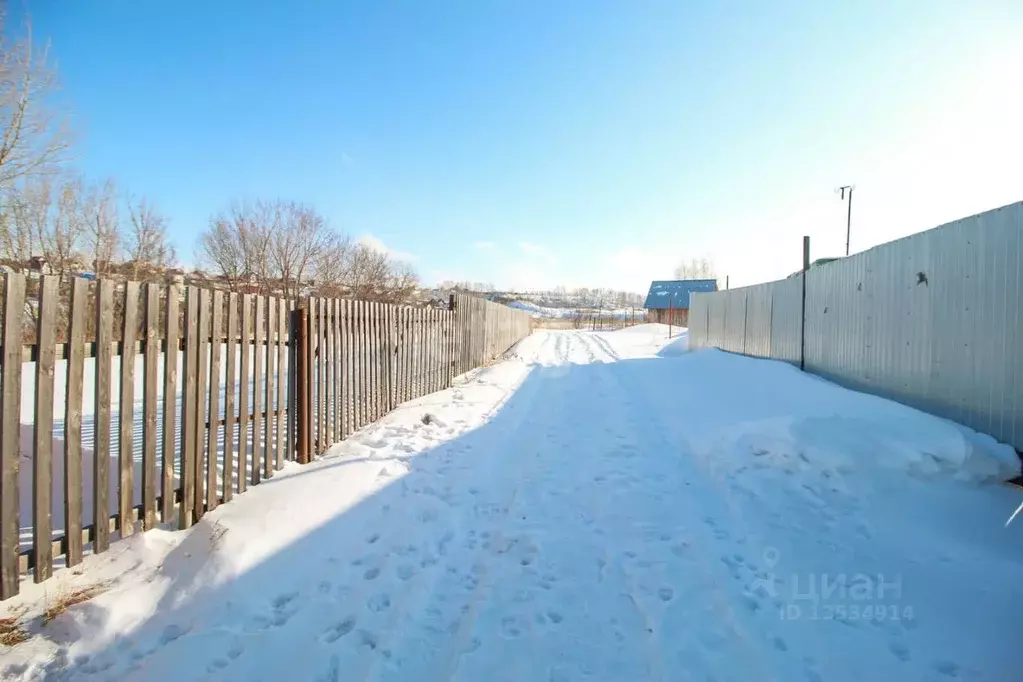 Участок в Алтайский край, Барнаул муниципальное образование, Поселок ... - Фото 1